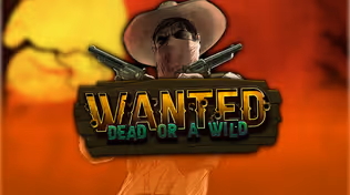 Wanted Dead or a Wild
